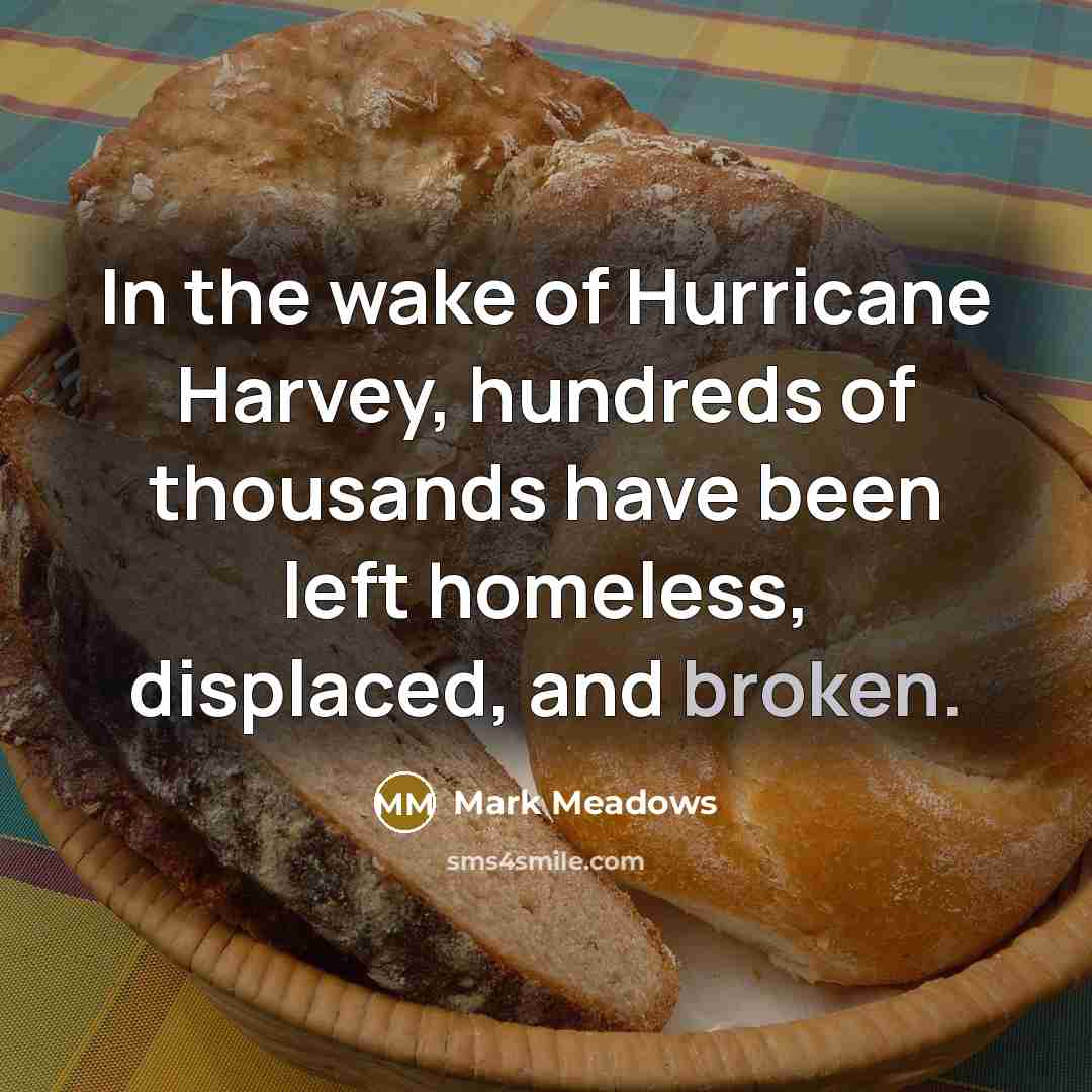 “In the wake of Hurricane Harvey, hundreds of thousands have…” quote by Mark Meadows