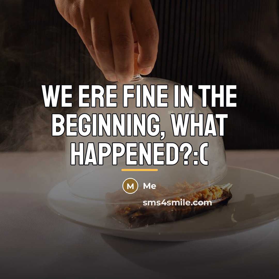 “We ere fine in the beginning, What Happened?:(…” quote by Me