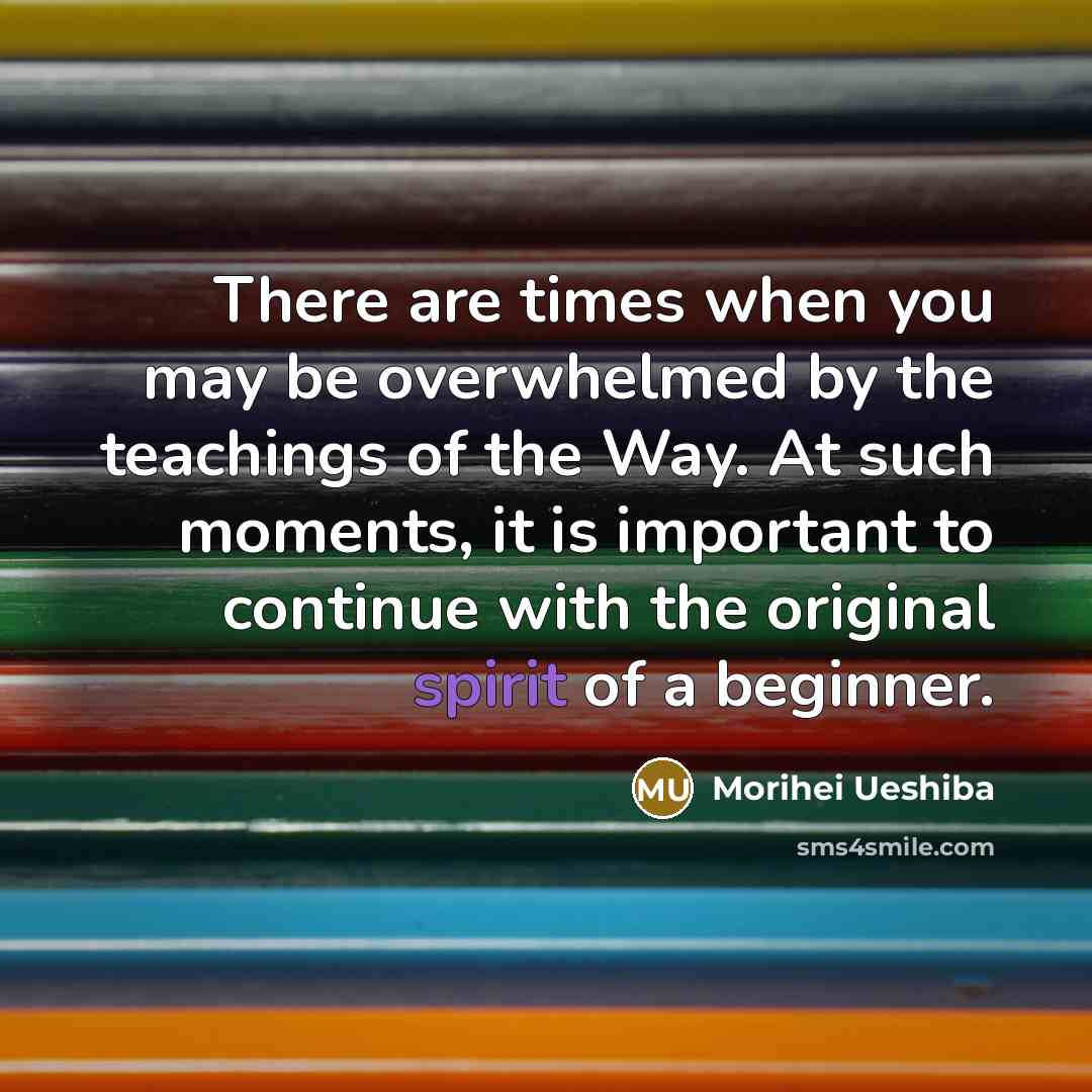“There are times when you may be overwhelmed by the…” quote by Morihei Ueshiba
