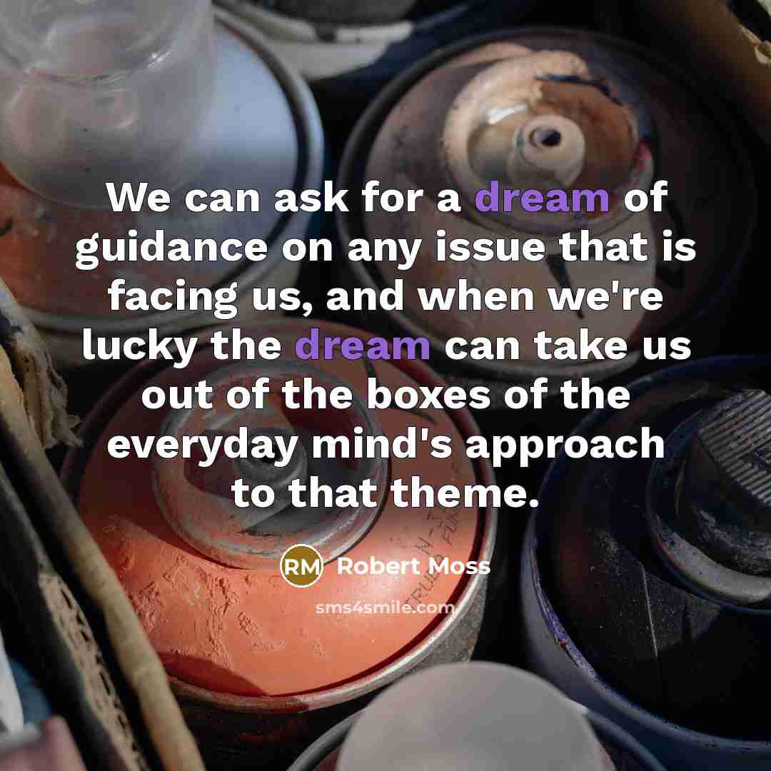 “We can ask for a dream of guidance on any…” quote by Robert Moss