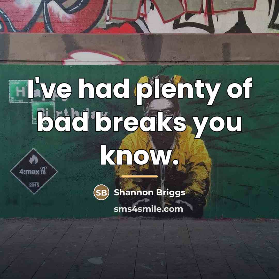 “I've had plenty of bad breaks you know.…” quote by Shannon Briggs