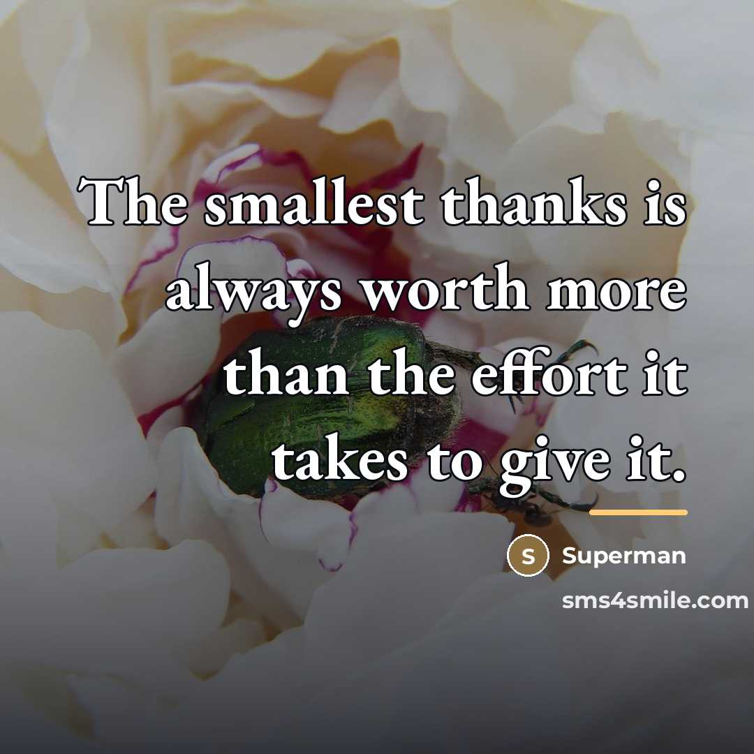 “The smallest thanks is always worth more than the effort…” quote by Superman