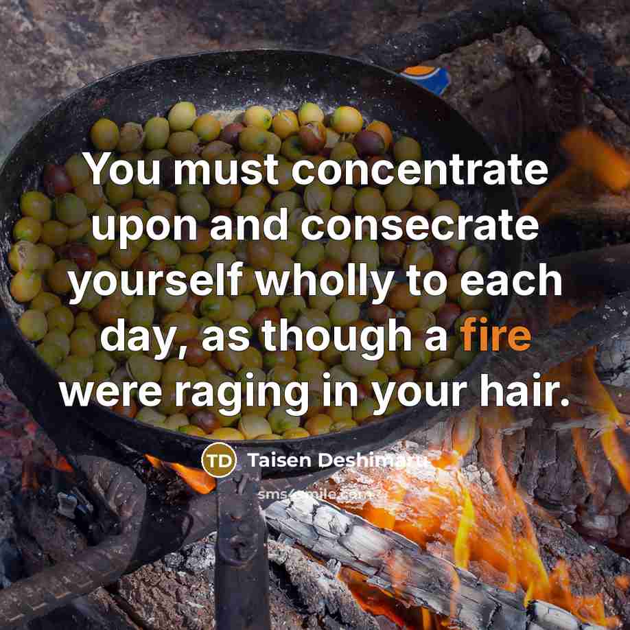 “You must concentrate upon and consecrate yourself wholly to each…” quote by Taisen Deshimaru