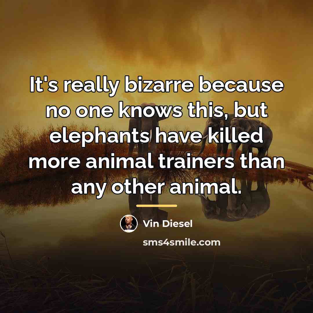 “It's really bizarre because no one knows this, but elephants…” quote by Vin Diesel