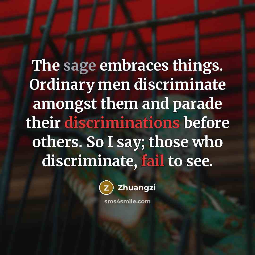 “The sage embraces things. Ordinary men discriminate amongst them and parade their discriminations before others. So I say; those who discriminate, fail to see.” quote by Zhuangzi