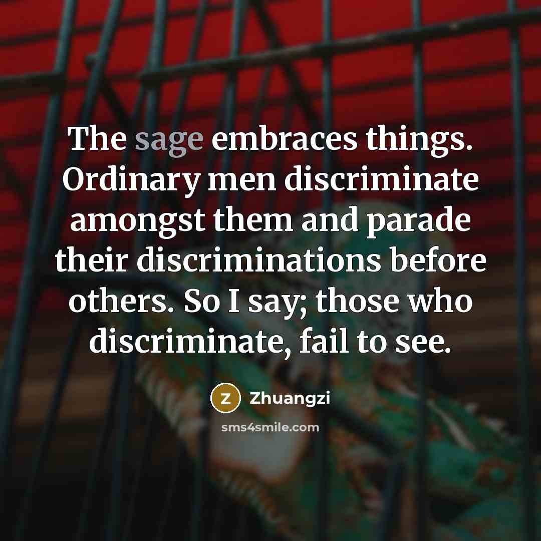 “The sage embraces things. Ordinary men discriminate amongst them and…” quote by Zhuangzi