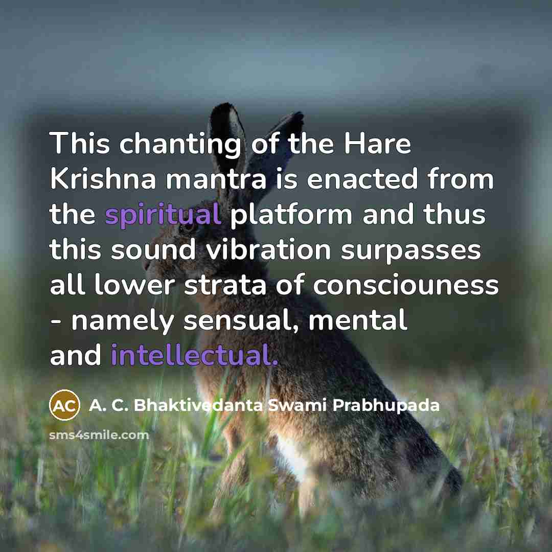 “This chanting of the Hare Krishna mantra is enacted from…” quote by A. C. Bhaktivedanta Swami Prabhupada