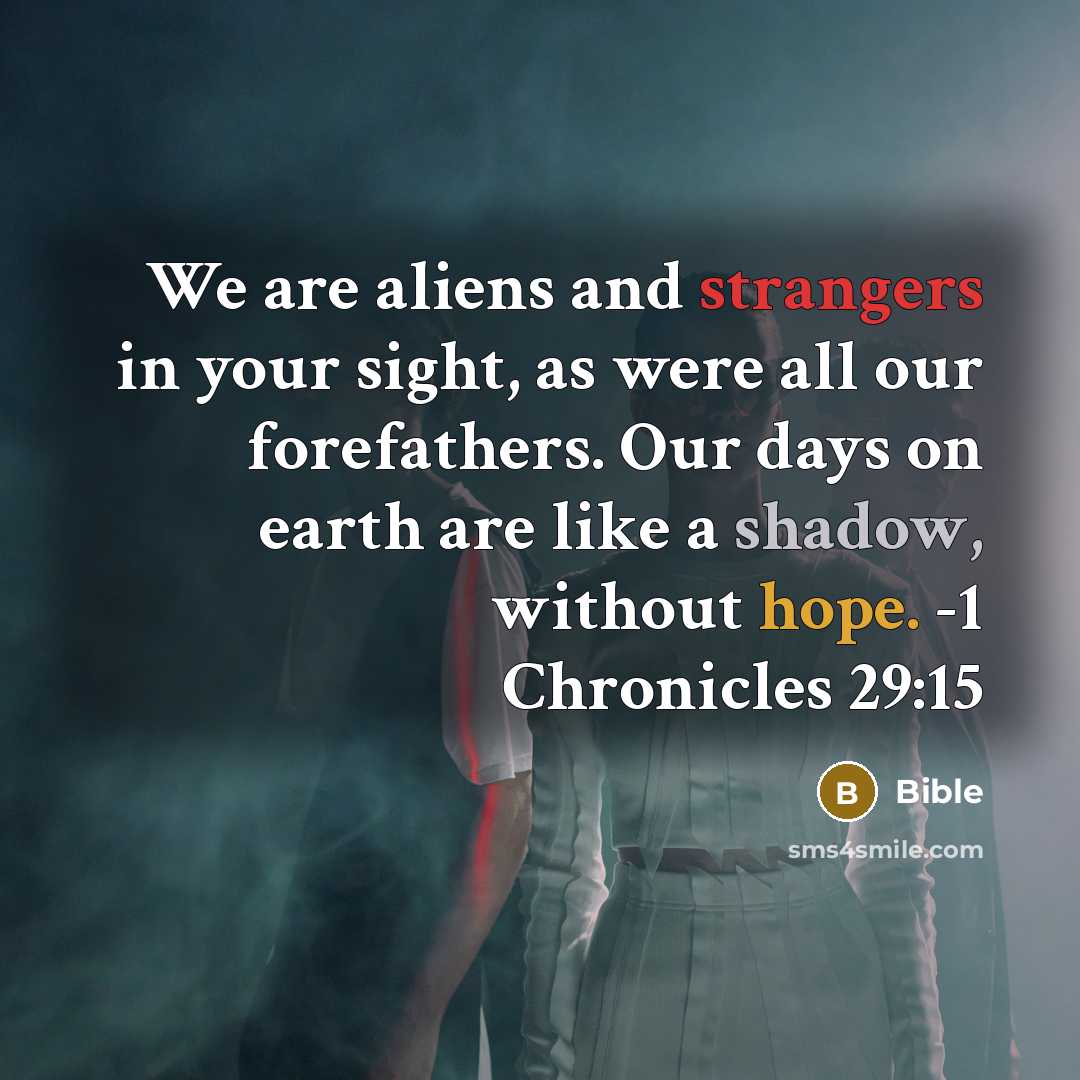 “We are aliens and strangers in your sight, as were all our forefathers. Our days on earth are like a shadow, without hope. -1 Chronicles 29:15” quote by Bible