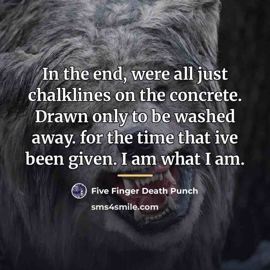 “In the end, were all just chalklines on the concrete.…” quote by Five Finger Death Punch