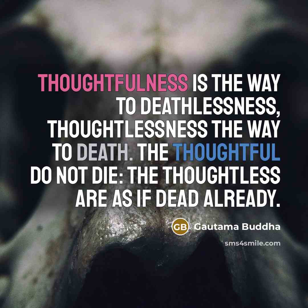 “Thoughtfulness is the way to deathlessness, thoughtlessness the way to…” quote by Gautama Buddha