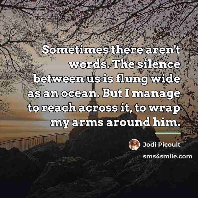 “Sometimes there aren't words. The silence between us is flung…” quote by Jodi Picoult