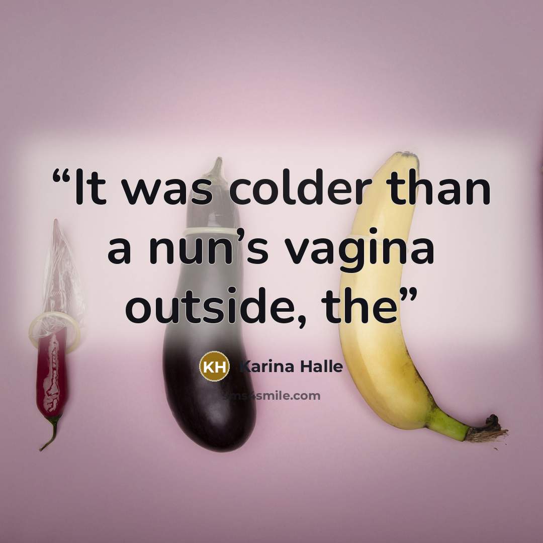 “It was colder than a nun’s vagina outside, the” quote by Karina Halle