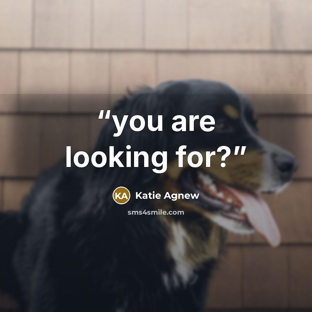 “you are looking for?” quote by Katie Agnew