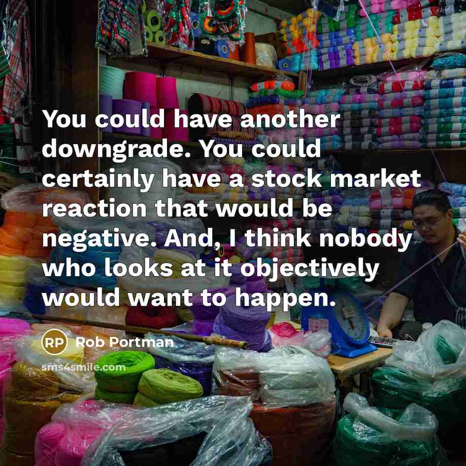 “You could have another downgrade. You could certainly have a…” quote by Rob Portman