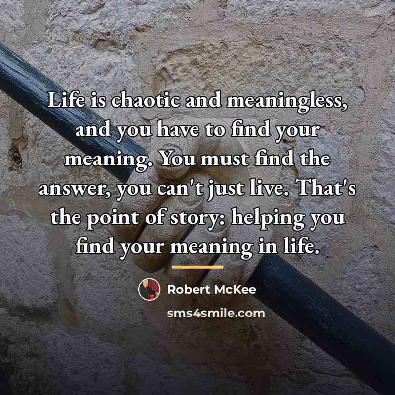 “Life is chaotic and meaningless, and you have to find…” quote by Robert McKee