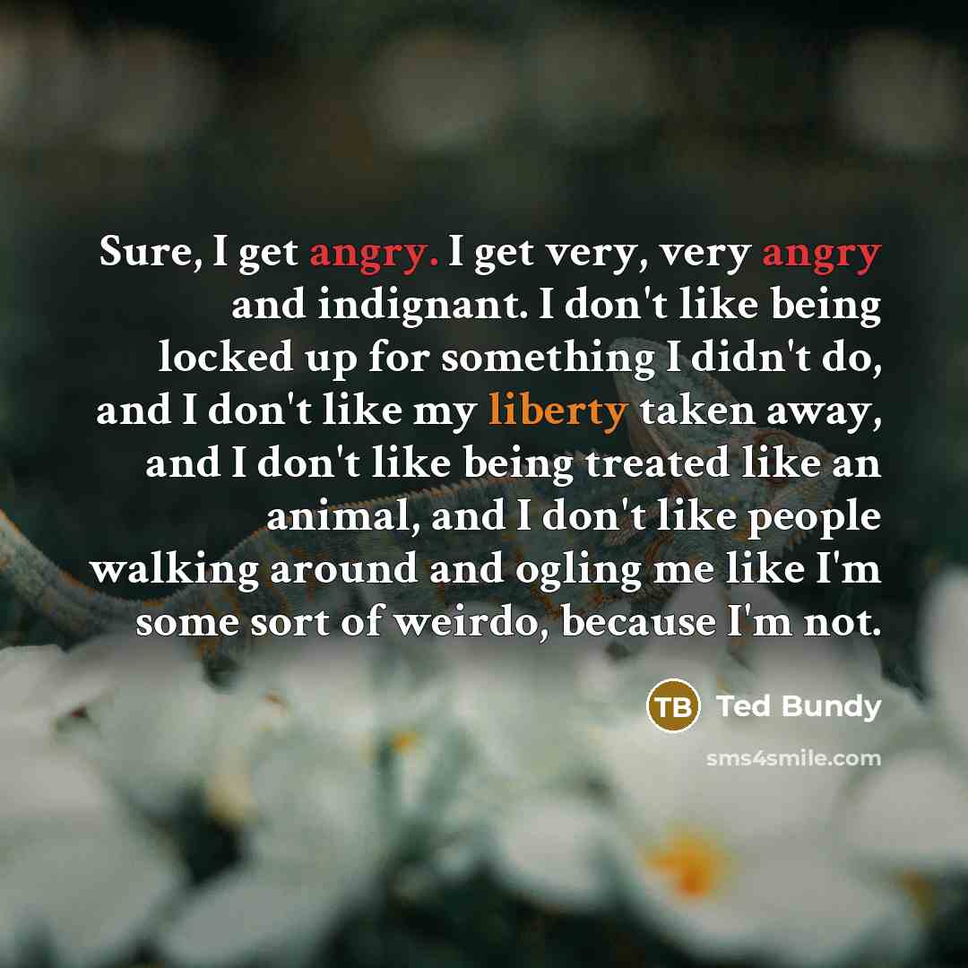 “Sure, I get angry. I get very, very angry and…” quote by Ted Bundy