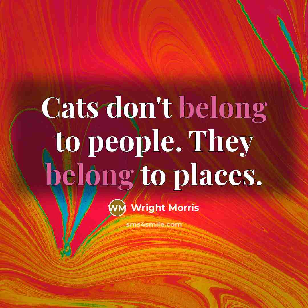 “Cats don't belong to people. They belong to places.…” quote by Wright Morris