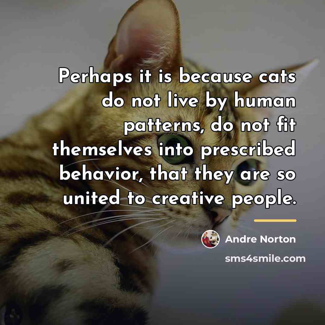 “Perhaps it is because cats do not live by human…” quote by Andre Norton