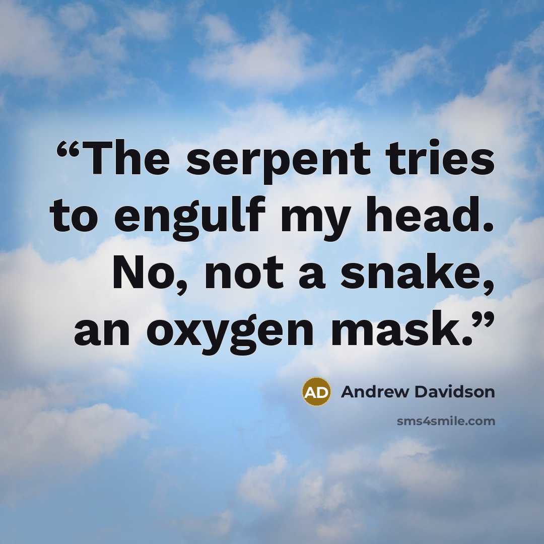 “The serpent tries to engulf my head. No, not a snake, an oxygen mask.” quote by Andrew Davidson