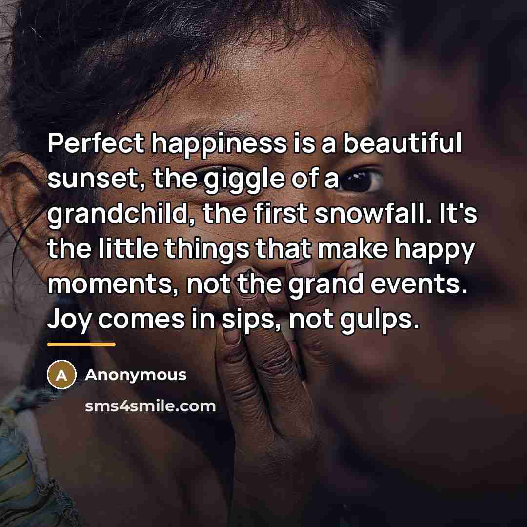 “Perfect happiness is a beautiful sunset, the giggle of a…” quote by Anonymous