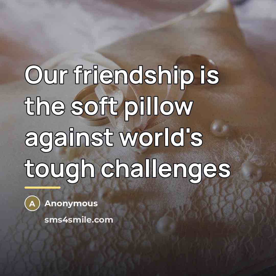 “Our friendship is the soft pillow against world's tough challenges…” quote by Anonymous