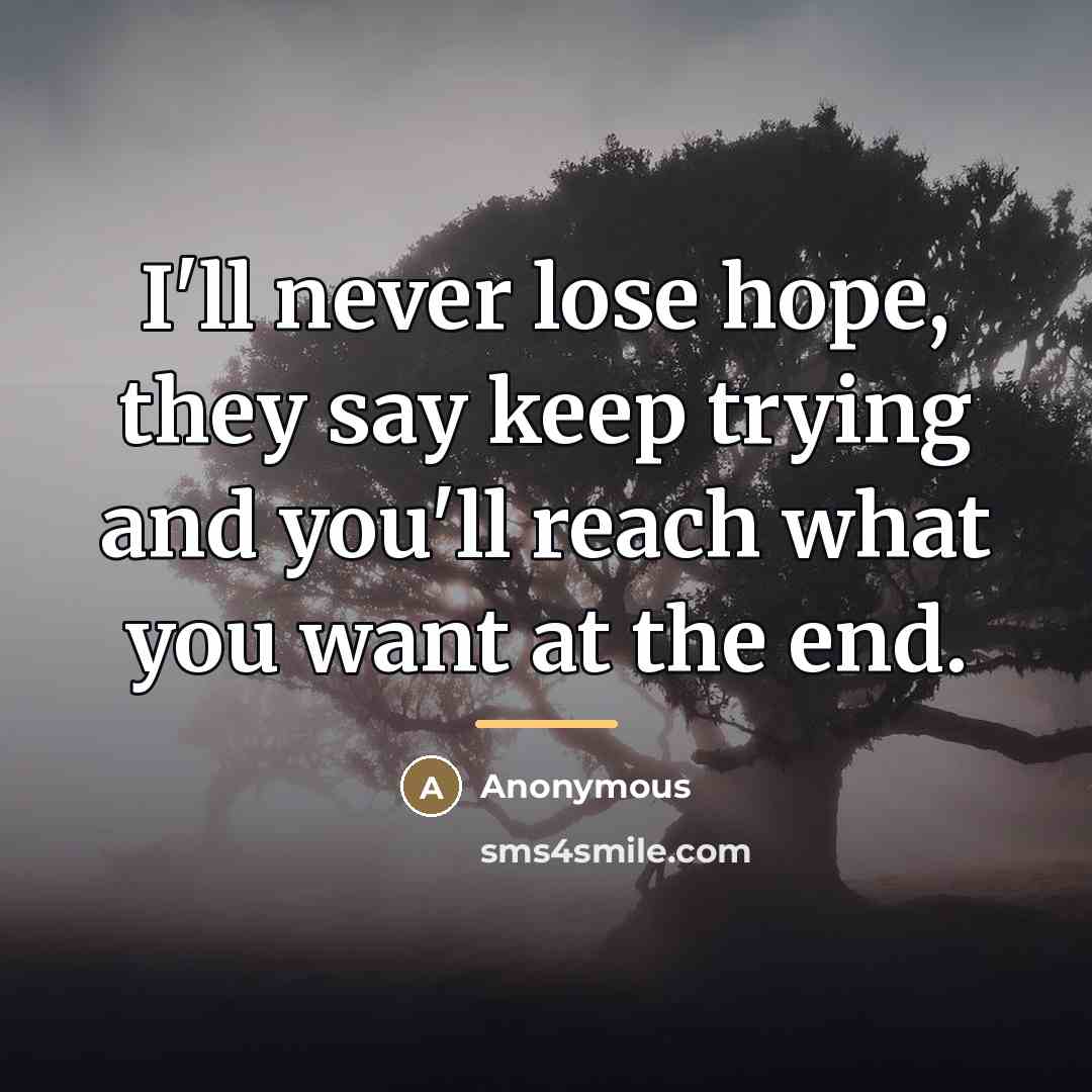 “I'll never lose hope, they say keep trying and you'll…” quote by Anonymous