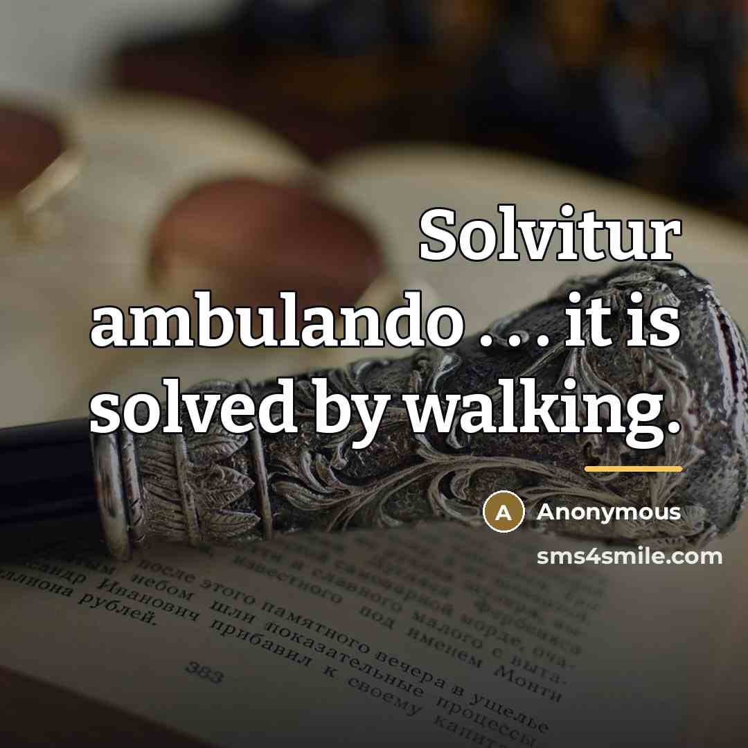 “Solvitur ambulando . . . it is solved by walking.…” quote by Anonymous