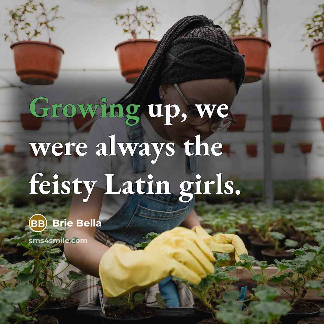 “Growing up, we were always the feisty Latin girls.…” quote by Brie Bella