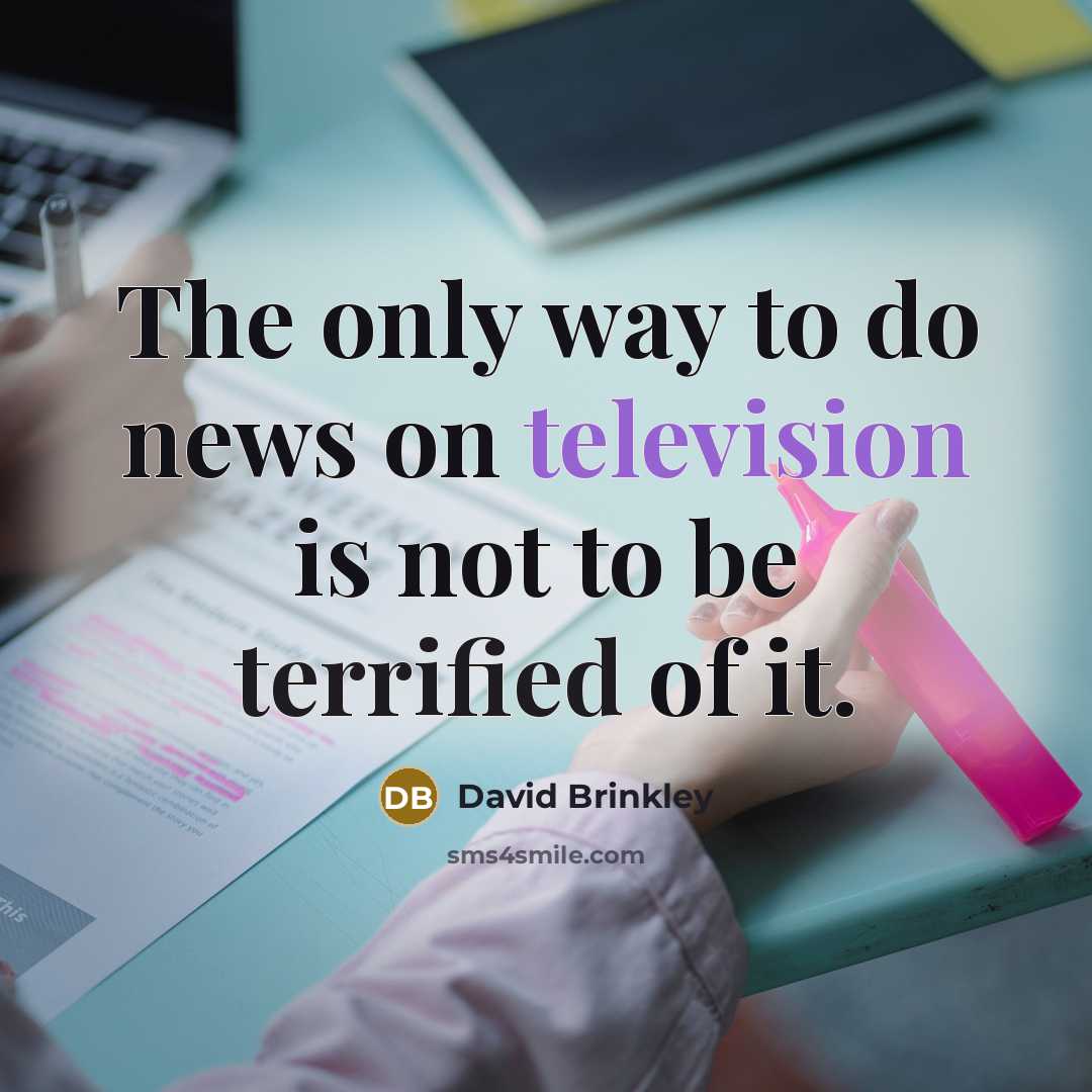 “The only way to do news on television is not to be terrified of it.” quote by David Brinkley