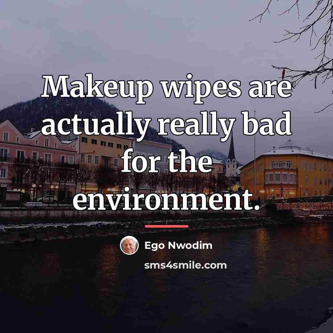 “Makeup wipes are actually really bad for the environment.…” quote by Ego Nwodim