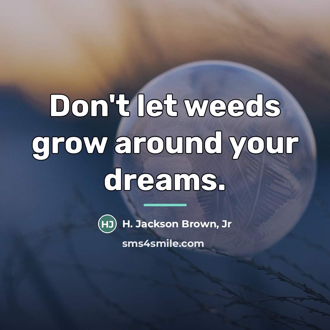 “Don't let weeds grow around your dreams.…” quote by H. Jackson Brown, Jr