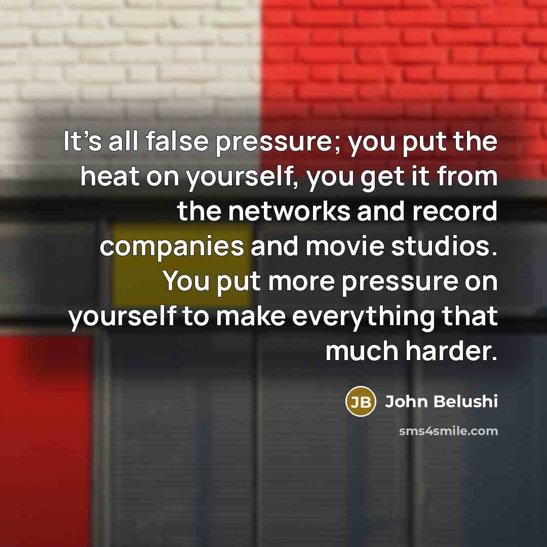 “It's all false pressure; you put the heat on yourself,…” quote by John Belushi