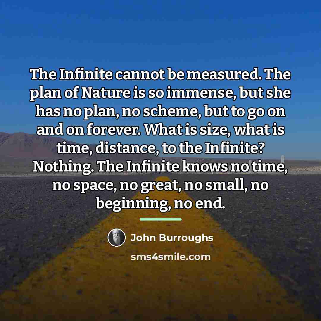 “The Infinite cannot be measured. The plan of Nature is…” quote by John Burroughs