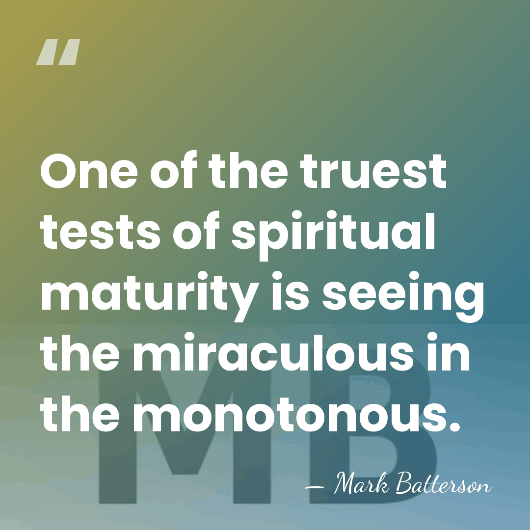 One of the truest tests of spiritual maturity is seeing the miraculous&hellip; - Mark Batterson