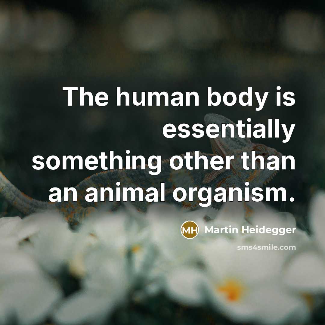 “The human body is essentially something other than an animal…” quote by Martin Heidegger
