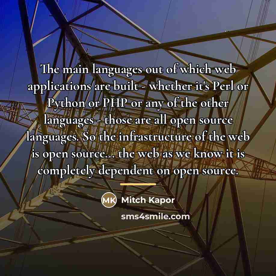 “The main languages out of which web applications are built…” quote by Mitch Kapor