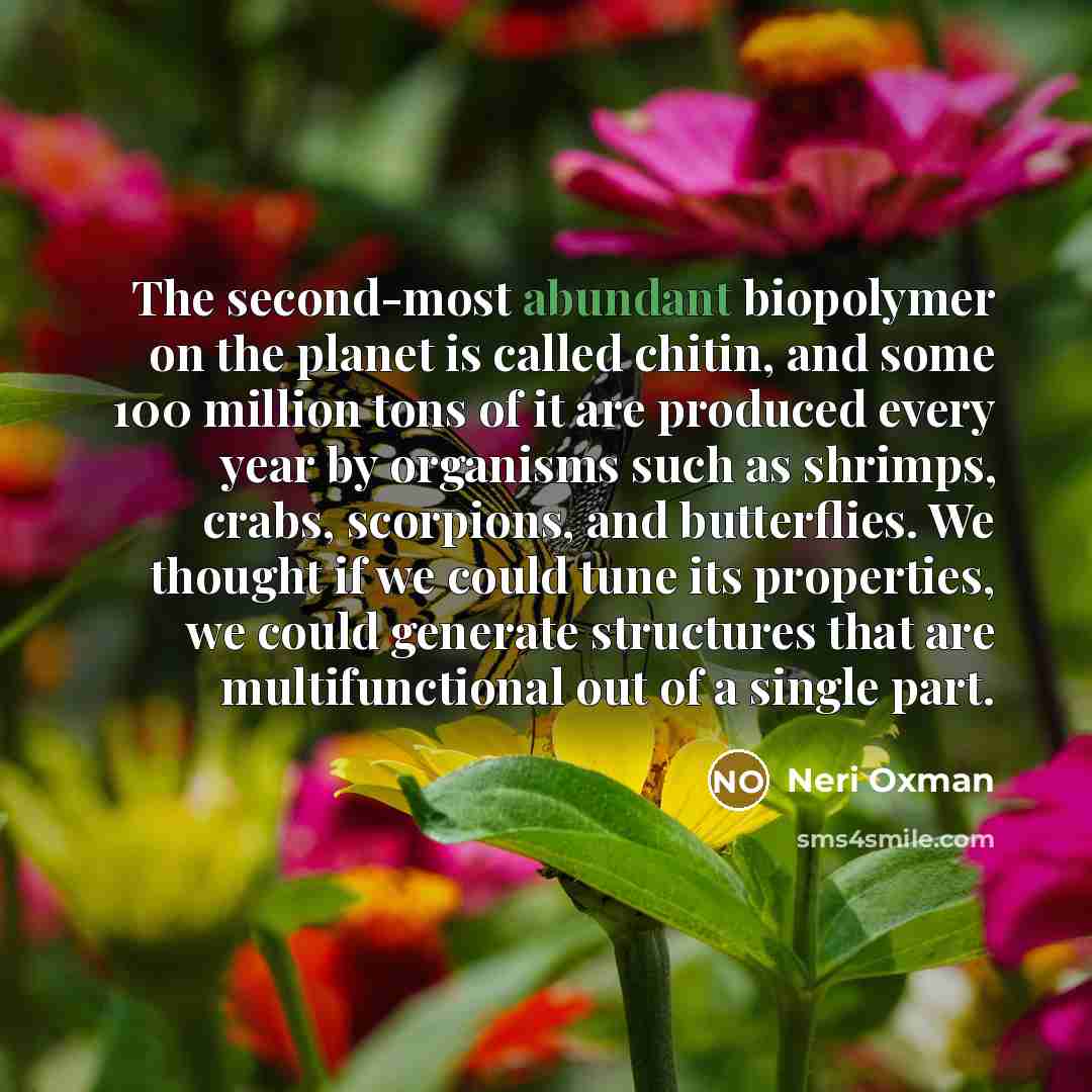 “The second-most abundant biopolymer on the planet is called chitin,…” quote by Neri Oxman