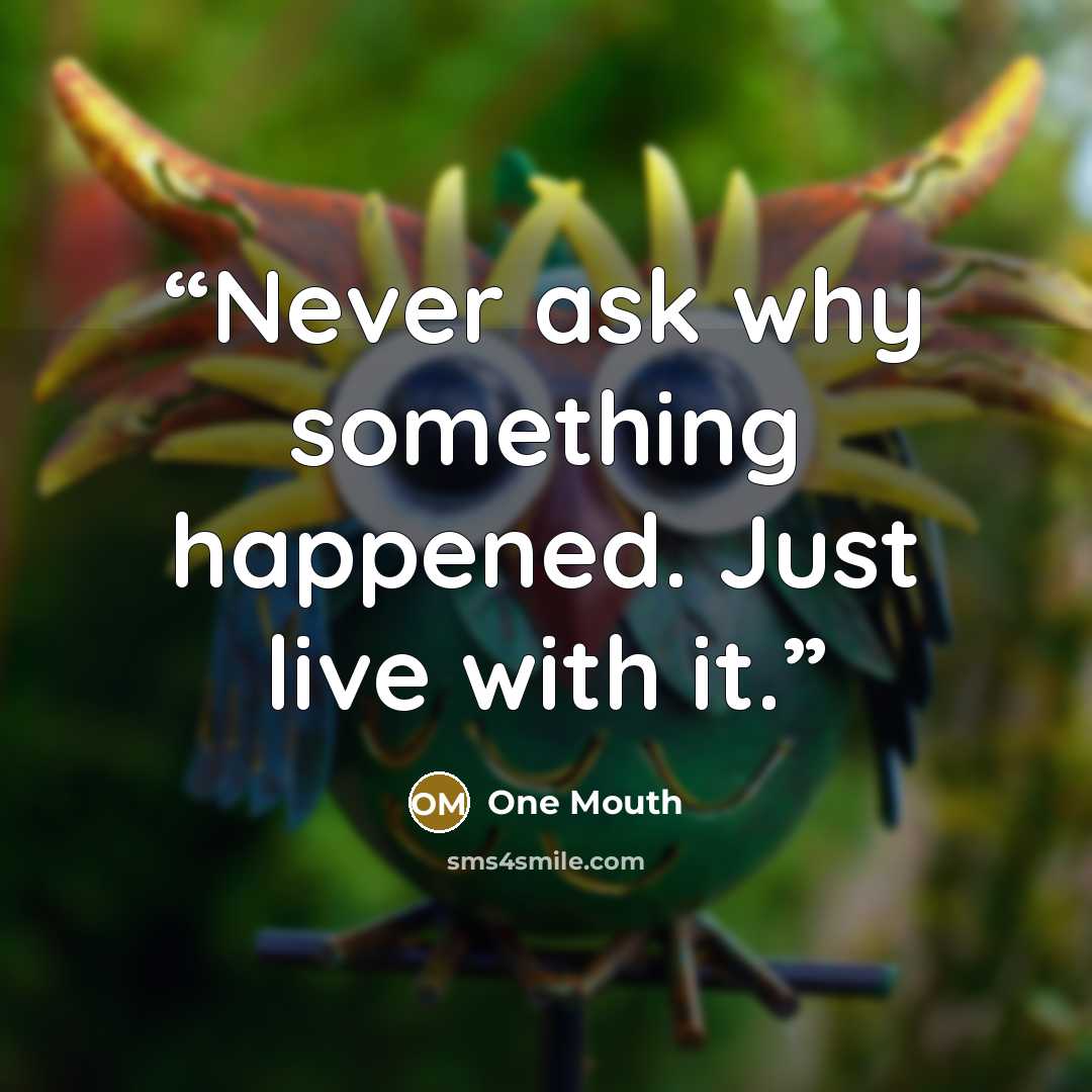 “Never ask why something happened. Just live with it.” quote by One Mouth