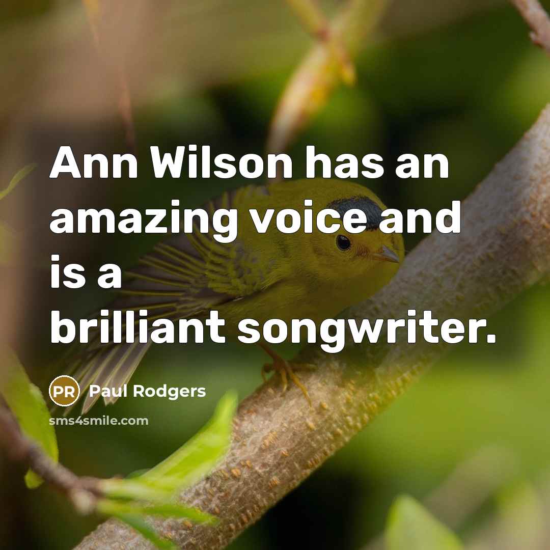 “Ann Wilson has an amazing voice and is a brilliant…” quote by Paul Rodgers