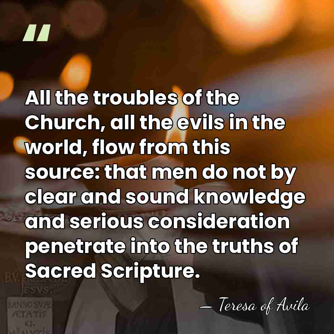 All the troubles of the Church, all the evils in the world,&hellip; - Teresa of Avila