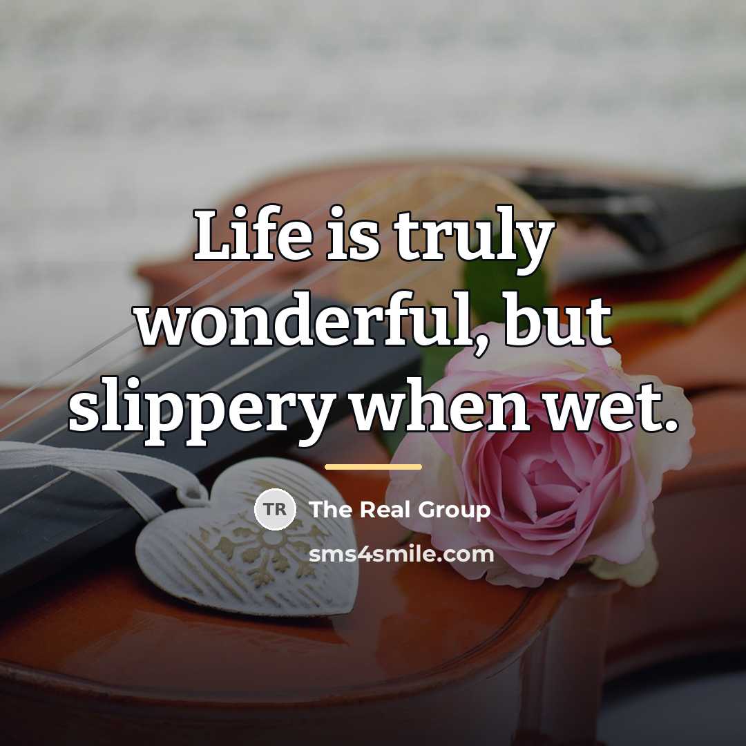 “Life is truly wonderful, but slippery when wet.…” quote by The Real Group