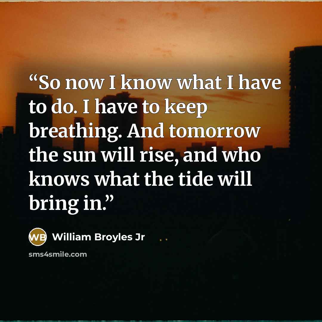 “So now I know what I have to do. I have to keep breathing. And tomorrow the sun will rise, and who knows what the tide will bring in.” quote by William Broyles Jr