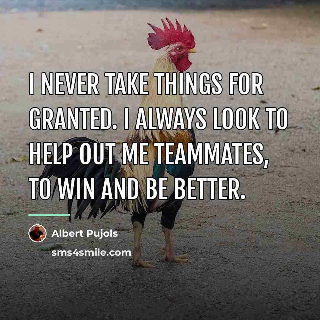 “I never take things for granted. I always look to…” quote by Albert Pujols