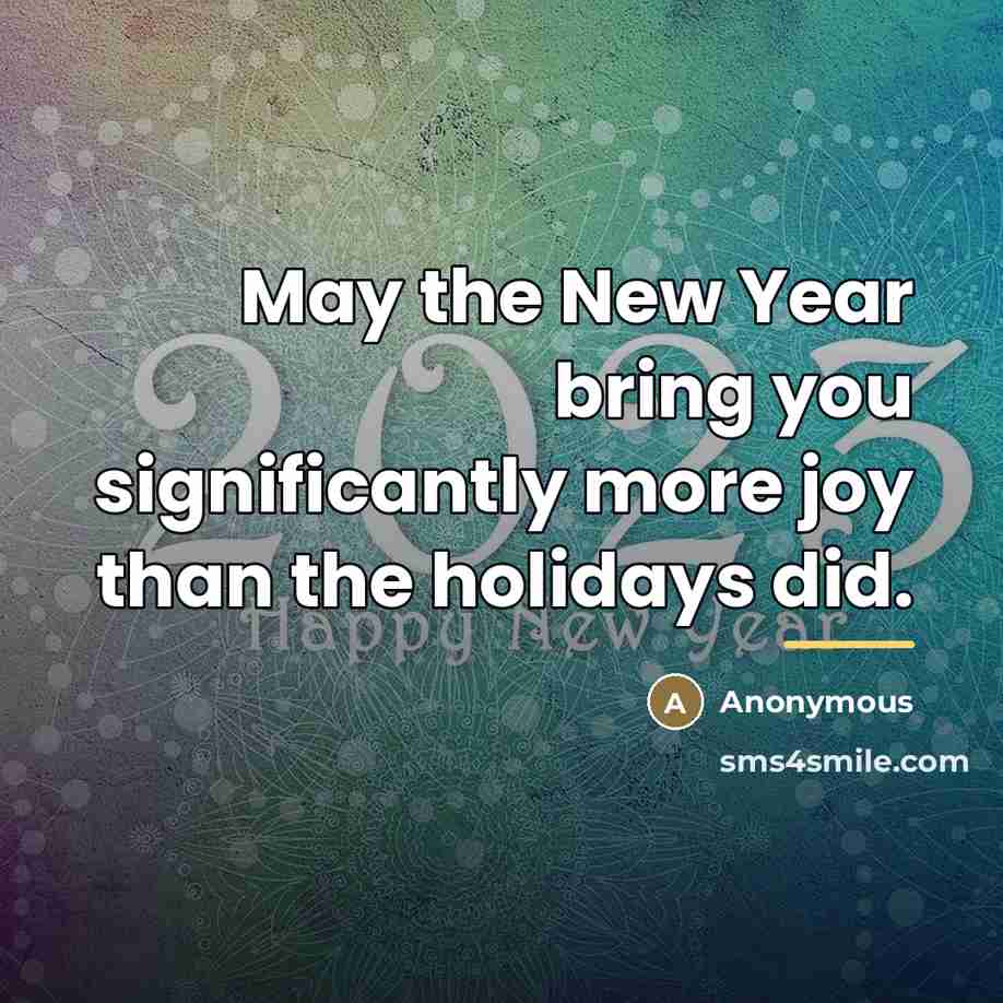 “May the New Year bring you significantly more joy than…” quote by Anonymous