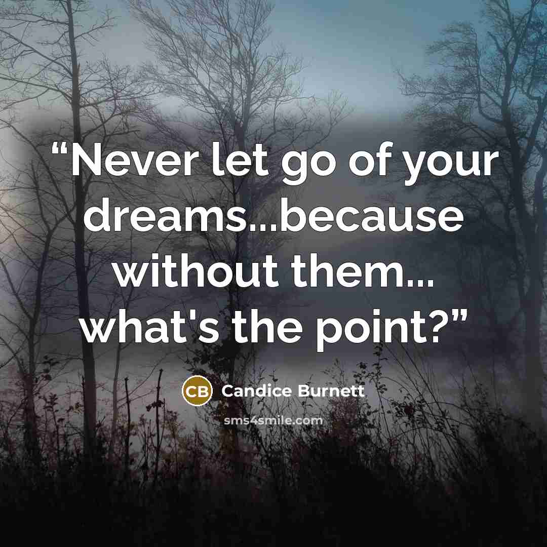 “Never let go of your dreams...because without them... what's the point?” quote by Candice Burnett