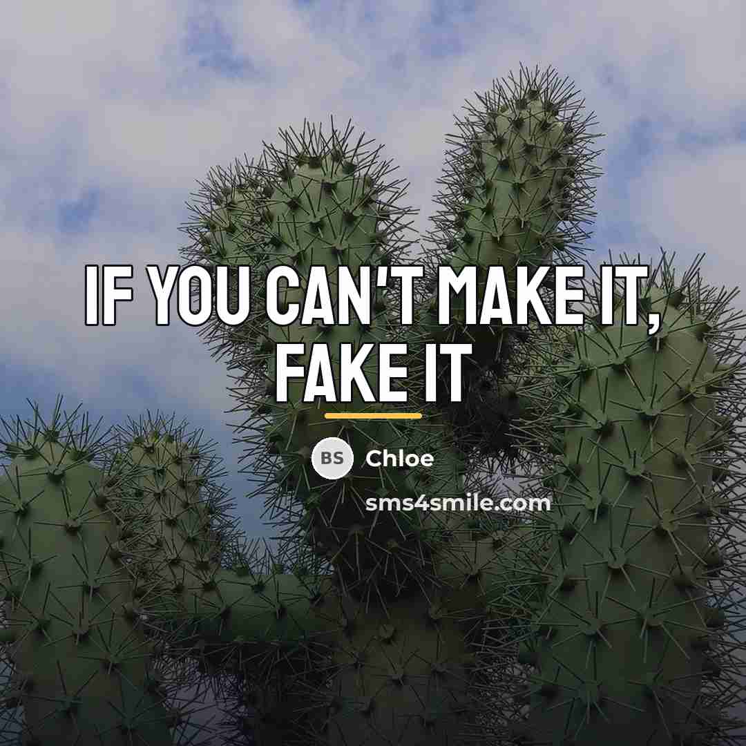 “If you can't make it, fake it…” quote by Chloe