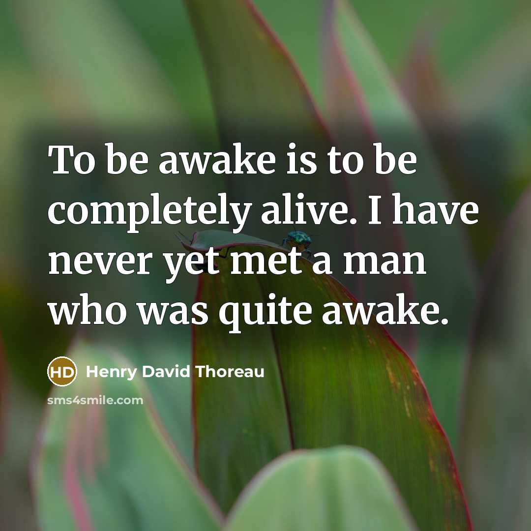 “To be awake is to be completely alive. I have…” quote by Henry David Thoreau