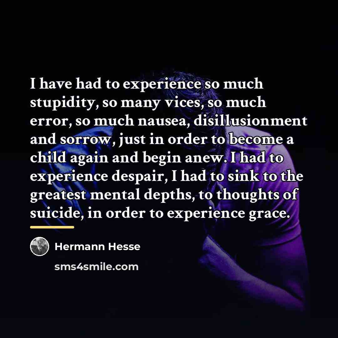 “I have had to experience so much stupidity, so many…” quote by Hermann Hesse