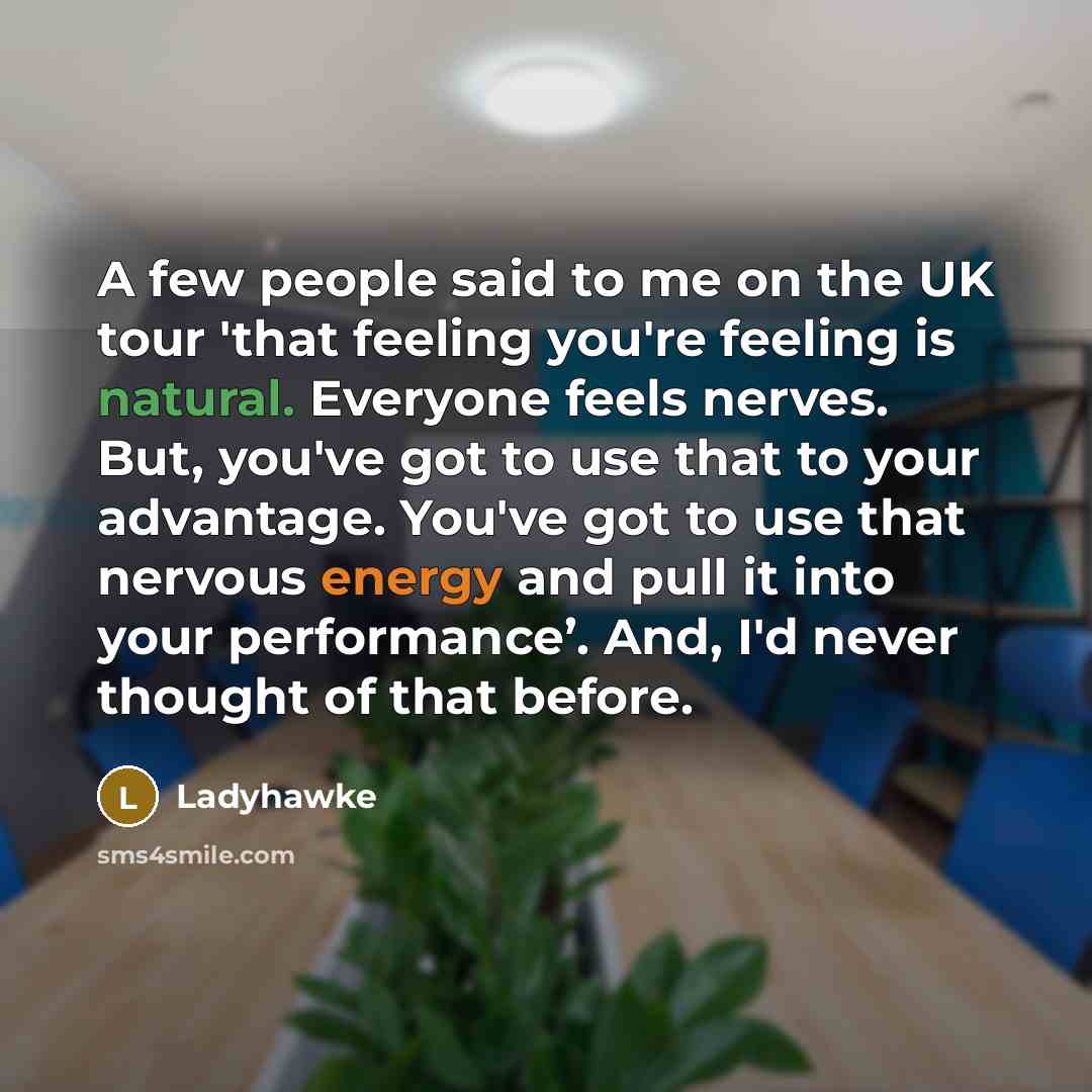 “A few people said to me on the UK tour…” quote by Ladyhawke