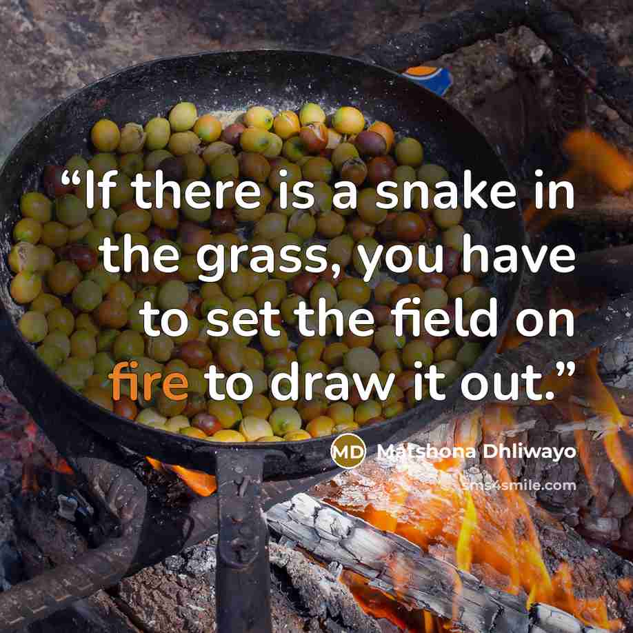 “If there is a snake in the grass, you have to set the field on fire to draw it out.” quote by Matshona Dhliwayo